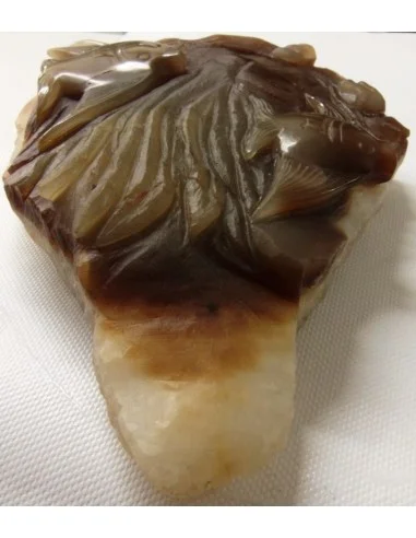 Poissons taillé en pierre