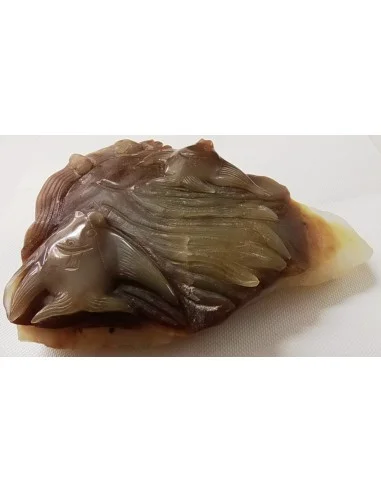 Poissons taillé en pierre