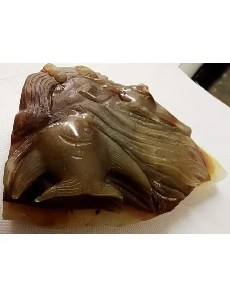 Poissons taillé en pierre