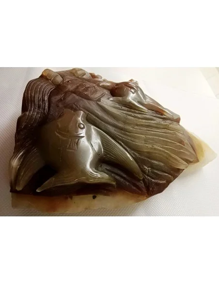 Poissons taillé en pierre