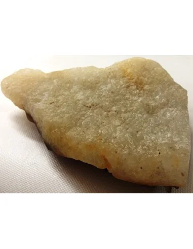 Poissons taillé en pierre