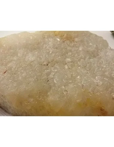 Poissons taillé en pierre