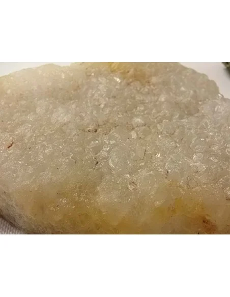 Poissons taillé en pierre