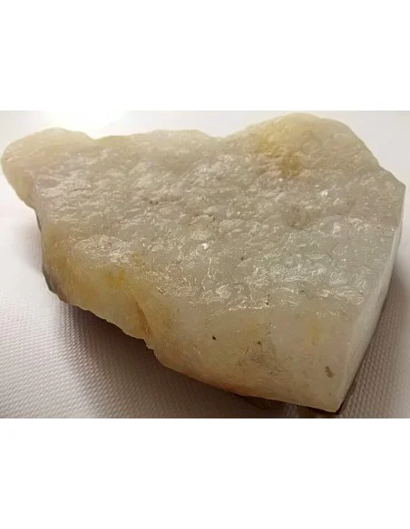 Poissons taillé en pierre