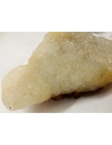 Poissons taillé en pierre