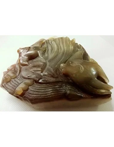 Poissons taillé en pierre