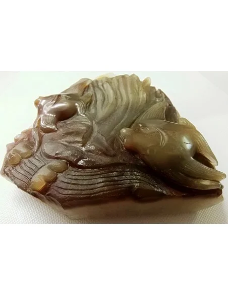 Poissons taillé en pierre