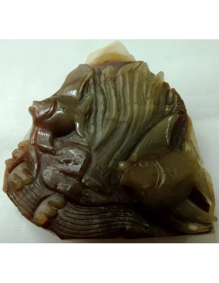 Poissons taillé en pierre