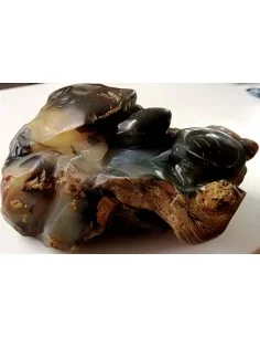 Tortues taillés en pierre 2