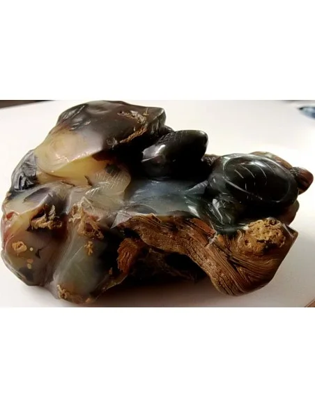 Tortues taillés en pierre