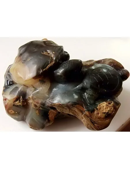 Tortues taillés en pierre