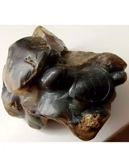 Tortues taillés en pierre