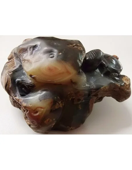 Tortues taillés en pierre