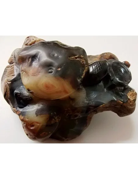 Tortues taillés en pierre