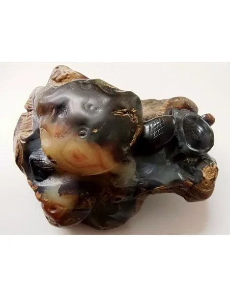 Tortues taillés en pierre