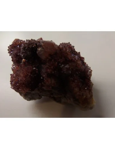 Cristal cactus guérisseur