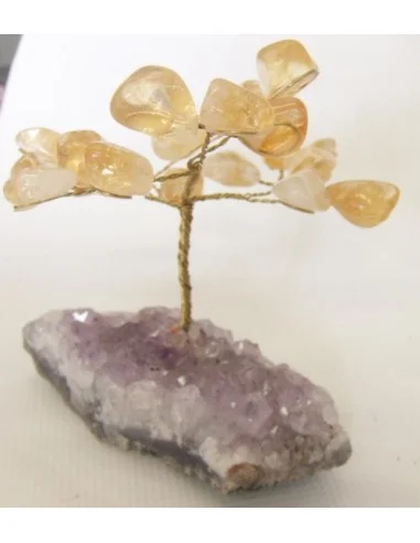 Bonzai en  citrne et amethyste