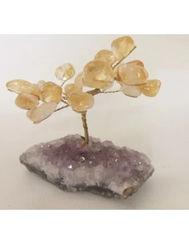 Bonzai en  citrne et amethyste