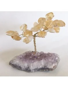 Bonzai en  citrne et amethyste