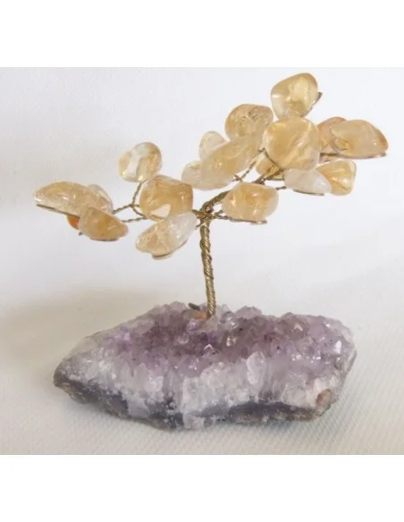 Bonzai en  citrne et amethyste