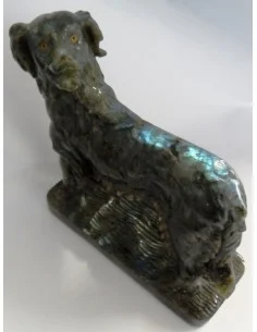 Chien labrador en labradorite 2