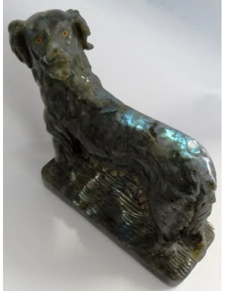 Chien labrador en labradorite Chien labrador en labradorite