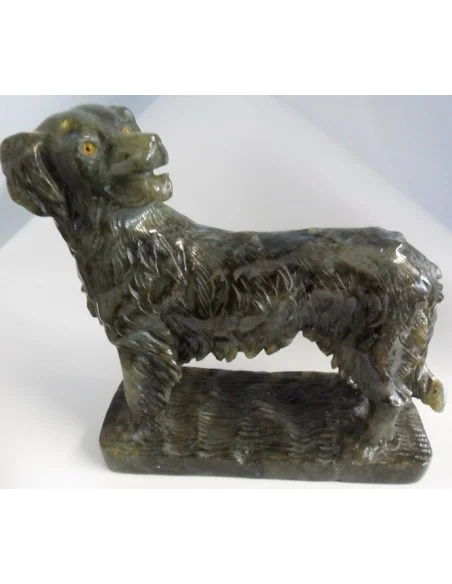 Chien labrador en labradorite Chien labrador en labradorite