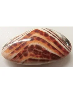 Agate spider