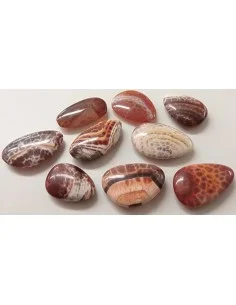Agate spider 2