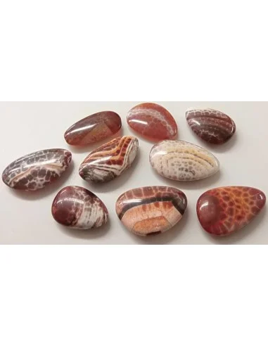 Agate spider