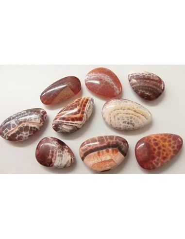 Agate spider