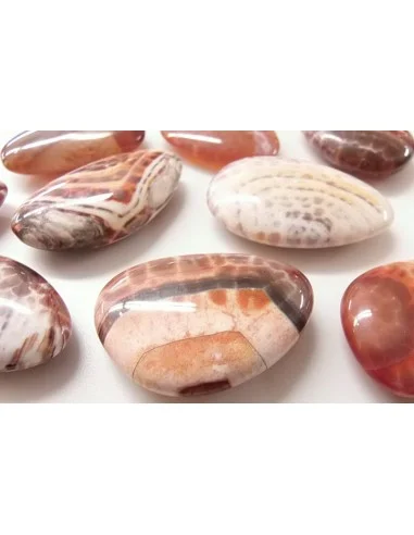 Agate spider