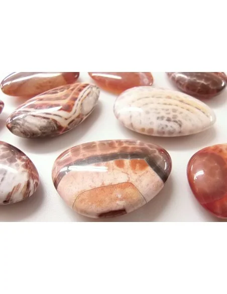 Agate spider Agate spider