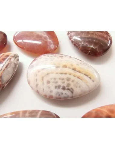 Agate spider