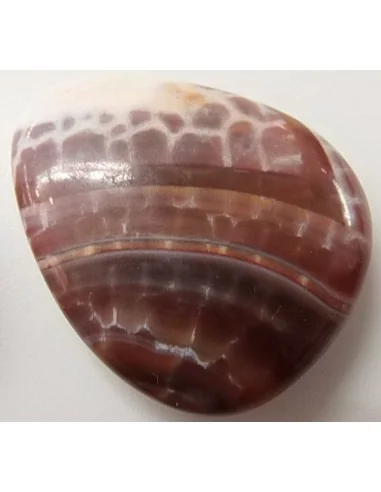 Agate spider