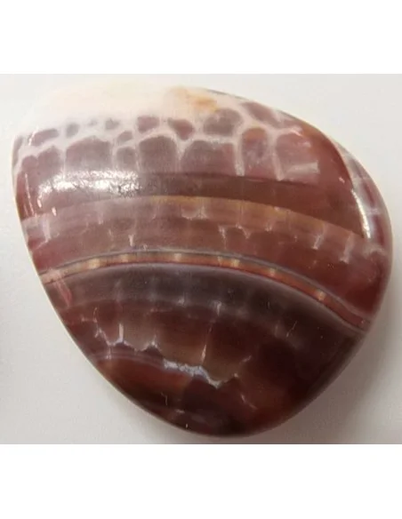 Agate spider Agate spider
