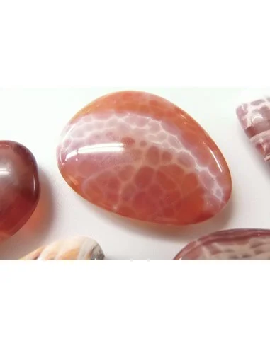 Agate spider