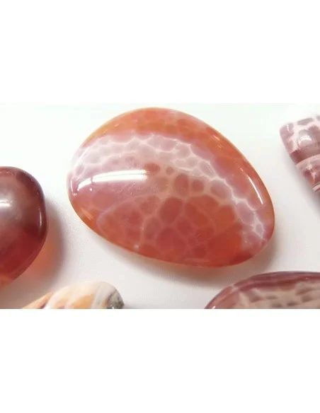 Agate spider Agate spider