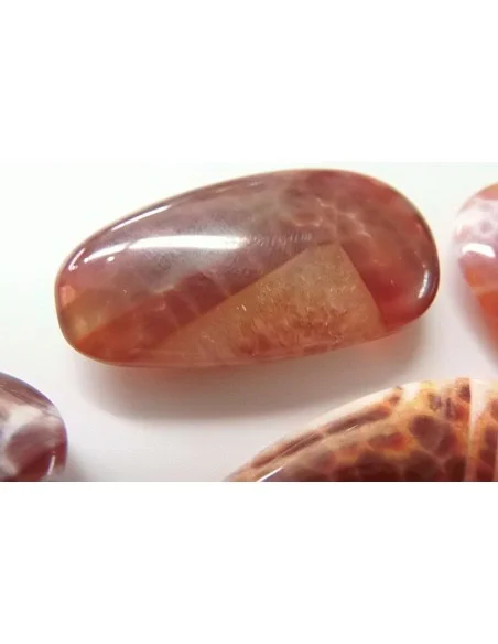 Agate spider Agate spider