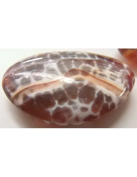 Agate spider Agate spider