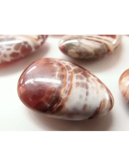 Agate spider Agate spider