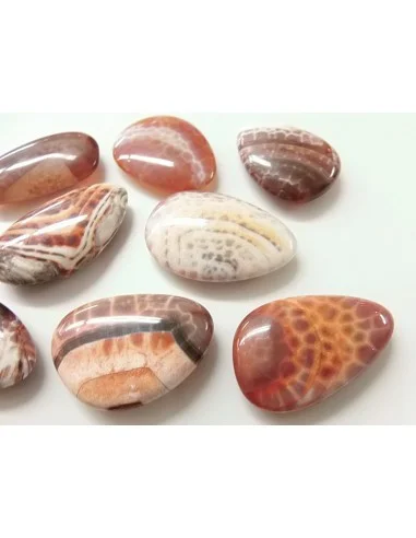 Agate spider