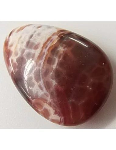 Agate spider