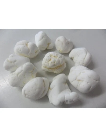 Magnésite brute 1 a 2g
