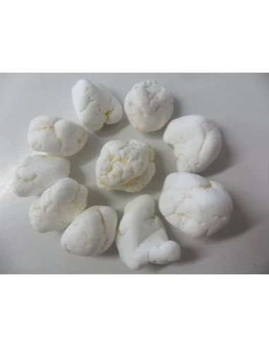 Magnésite brute 1 a 2g