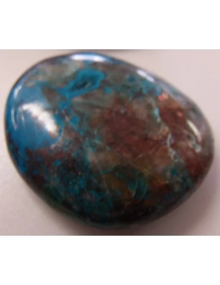 Quattro quantum galet Quattro quantum galet