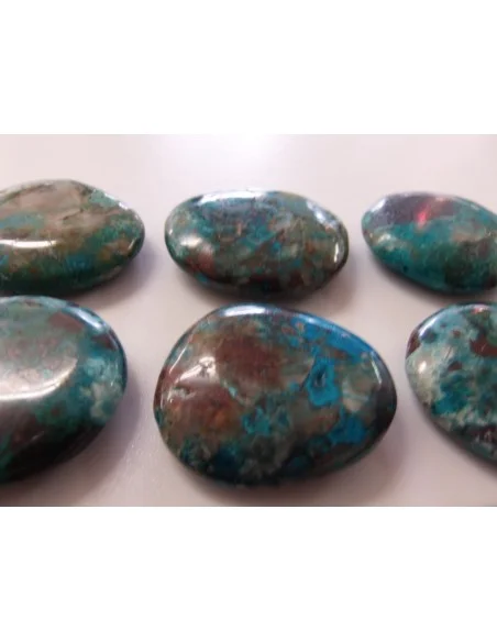 Quattro quantum galet Quattro quantum galet