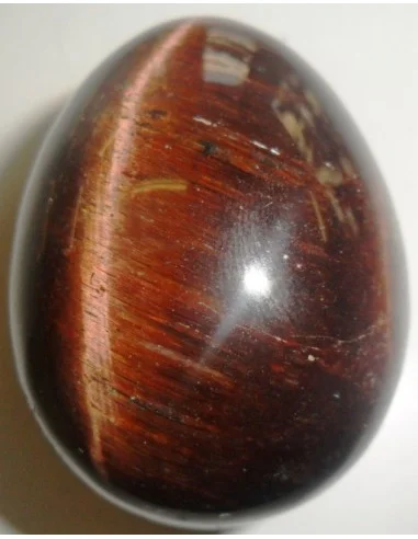 Oeuf Oeil de taureau