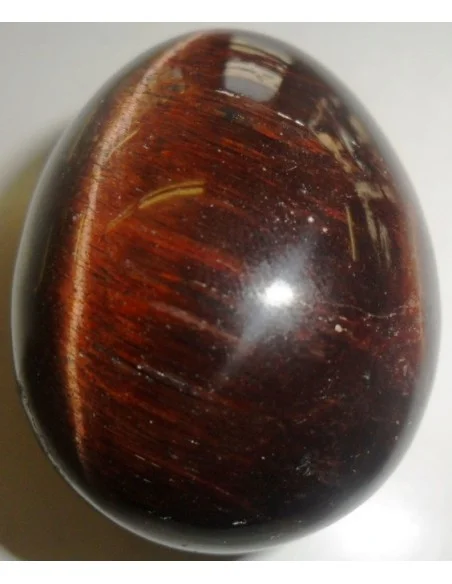 Oeuf Oeil de taureau