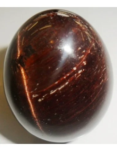 Oeuf Oeil de taureau